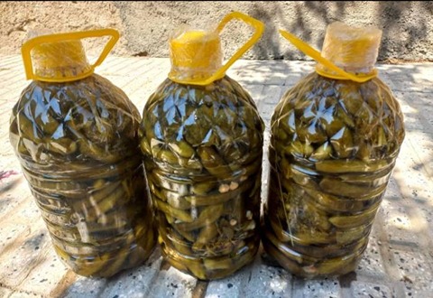 تصویر 1 از خیارشور عمده خرید + قیمت